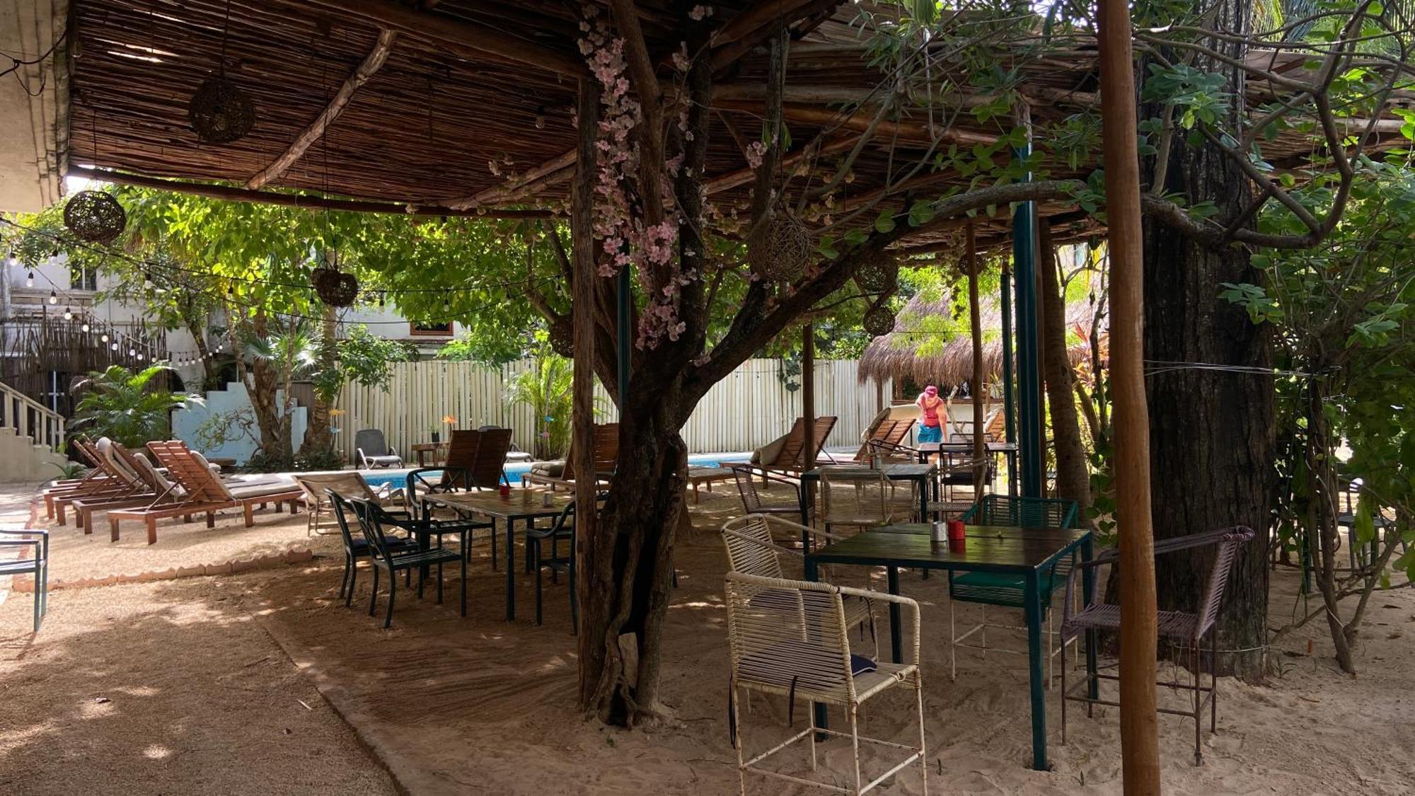 Nature Stay (Adults Only) Playa del Carmen Kültér fotó