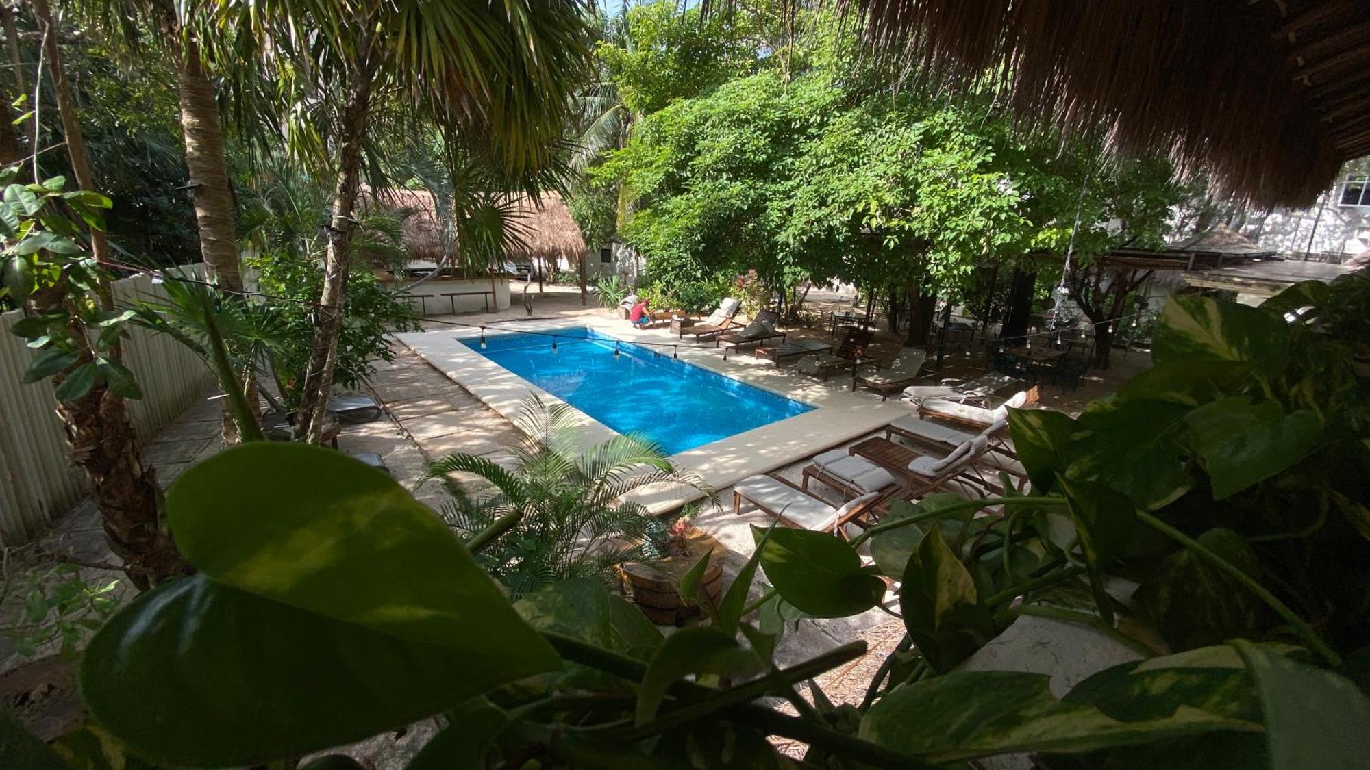 Nature Stay (Adults Only) Playa del Carmen Kültér fotó